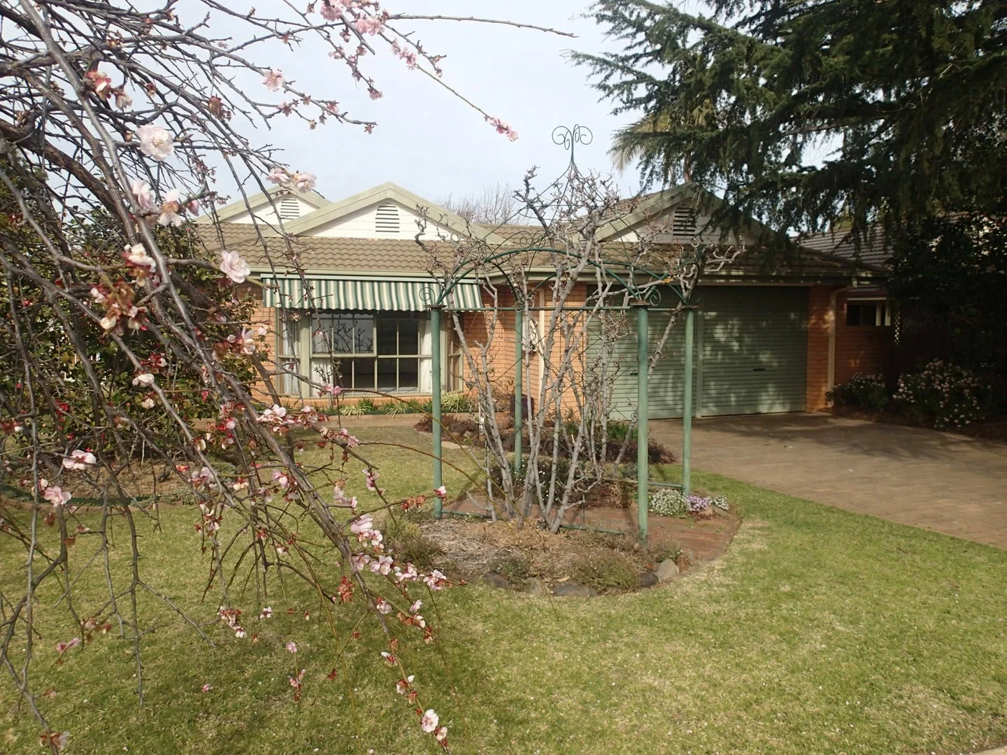 25 Beryl Dr (1/29)