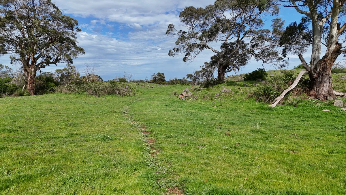250 Scoullers Road - Image 5