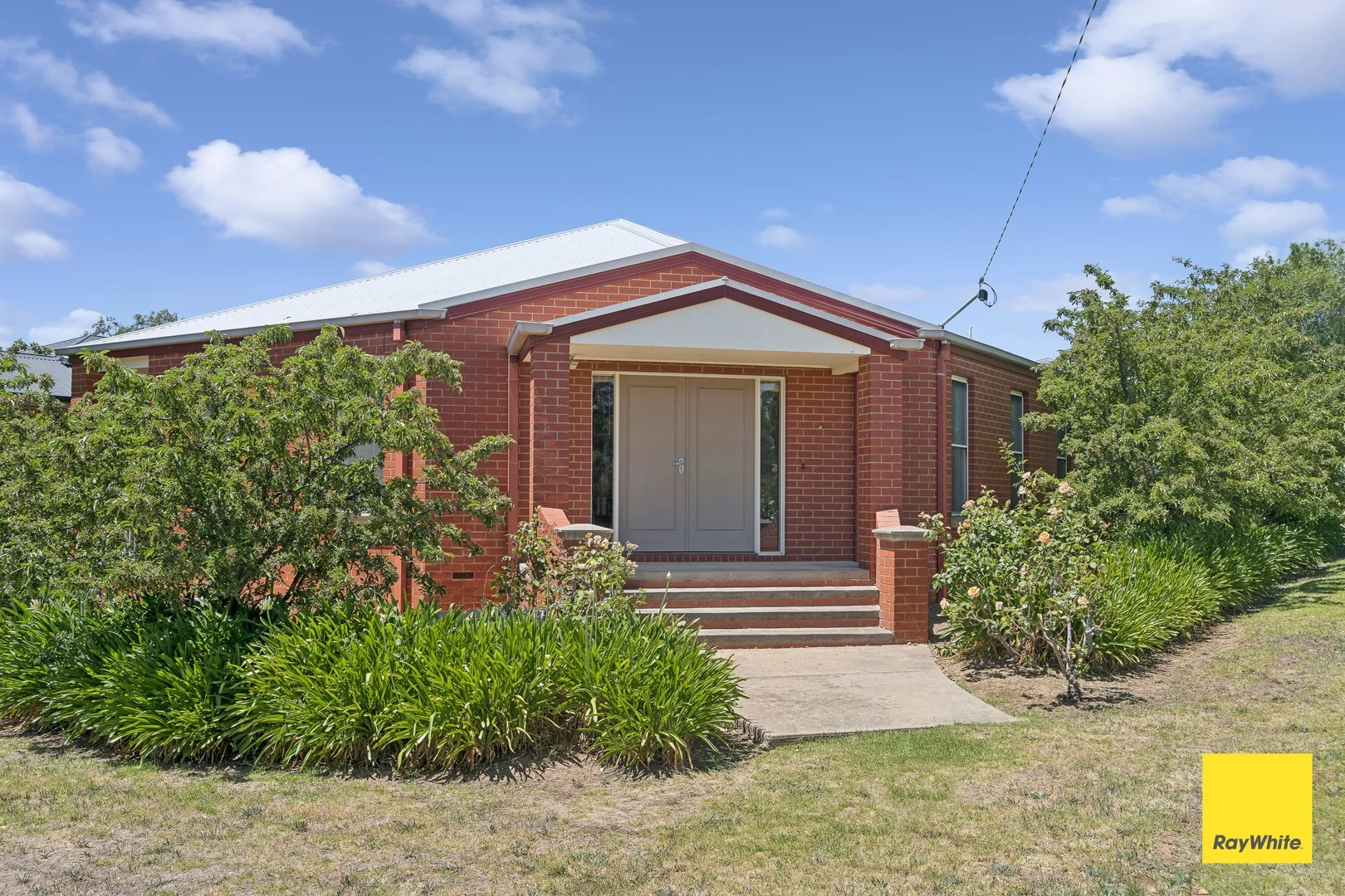 253 Carpenter Street (1/25)