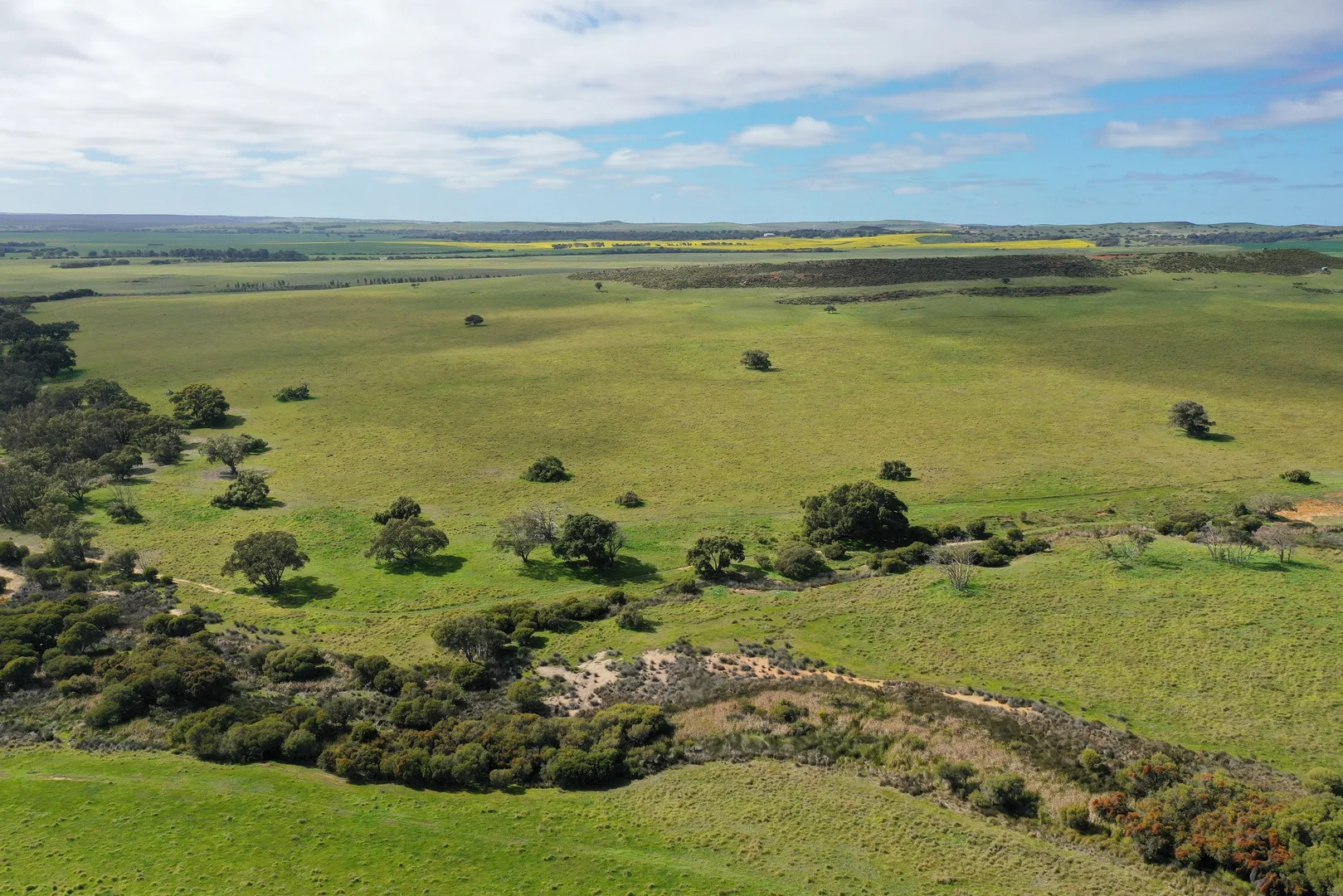 254 Springhill Road - Image 2