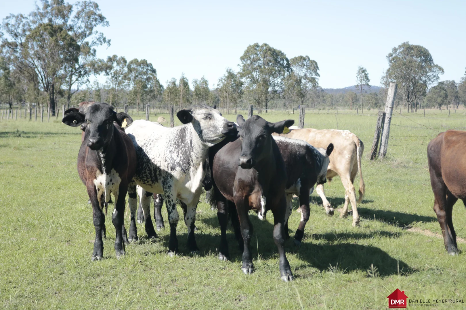 25731 Burnett Highway - Image 3