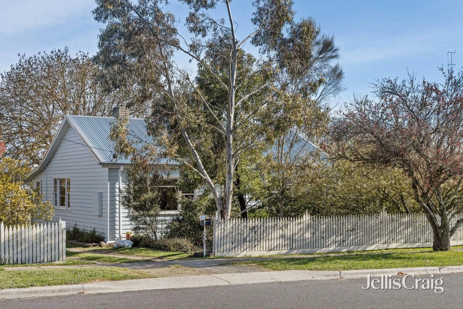 26 Orr Street (1/17)