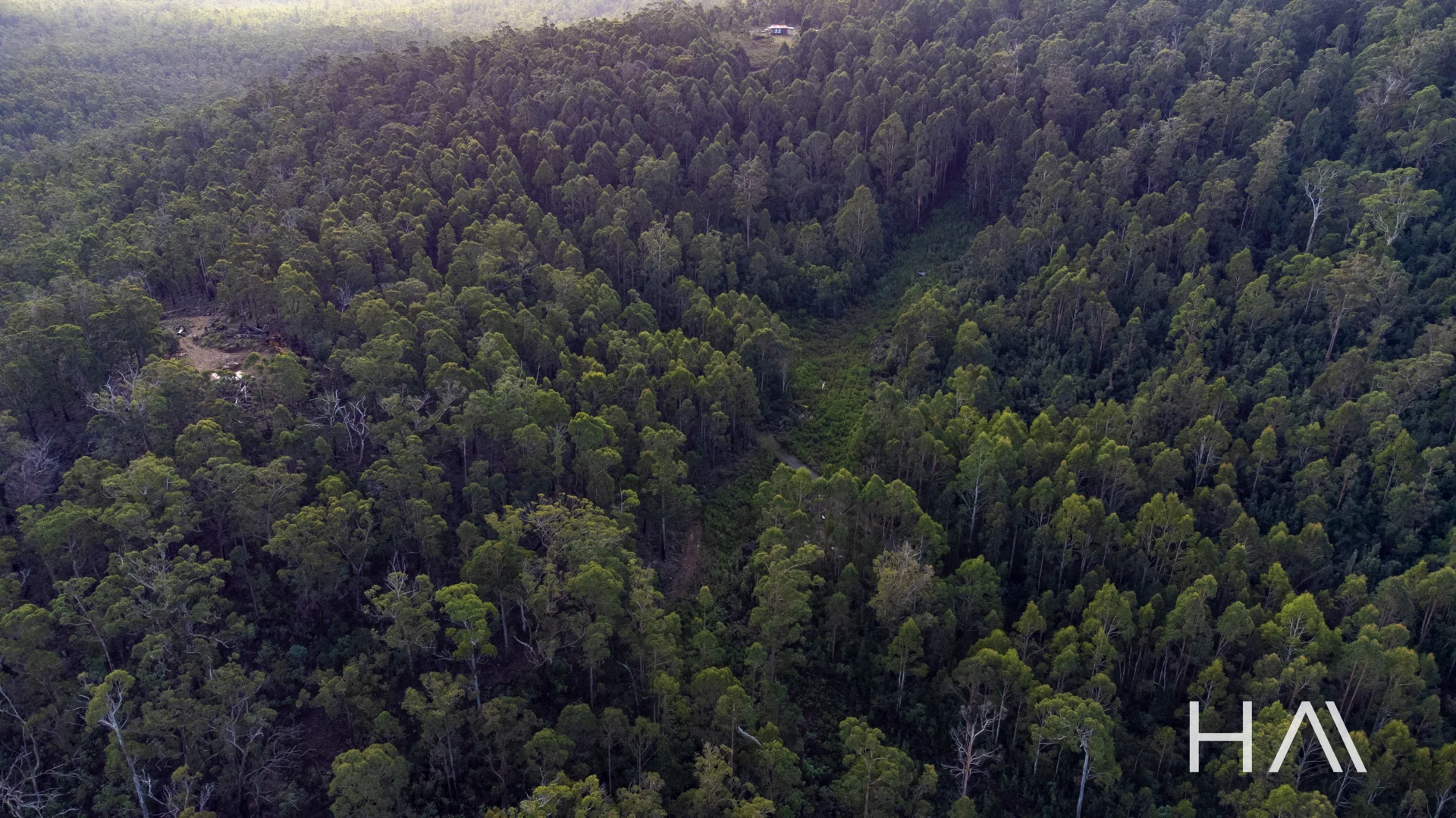 262A Austins Road - Image 3