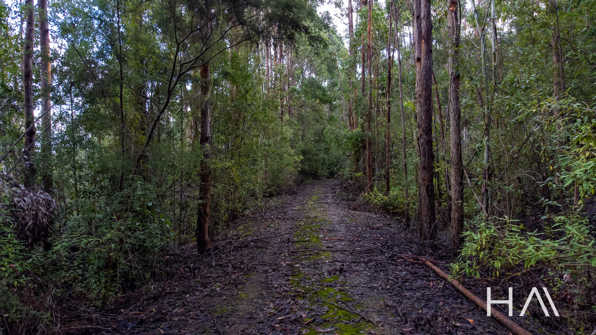 262A Austins Road - Image 4