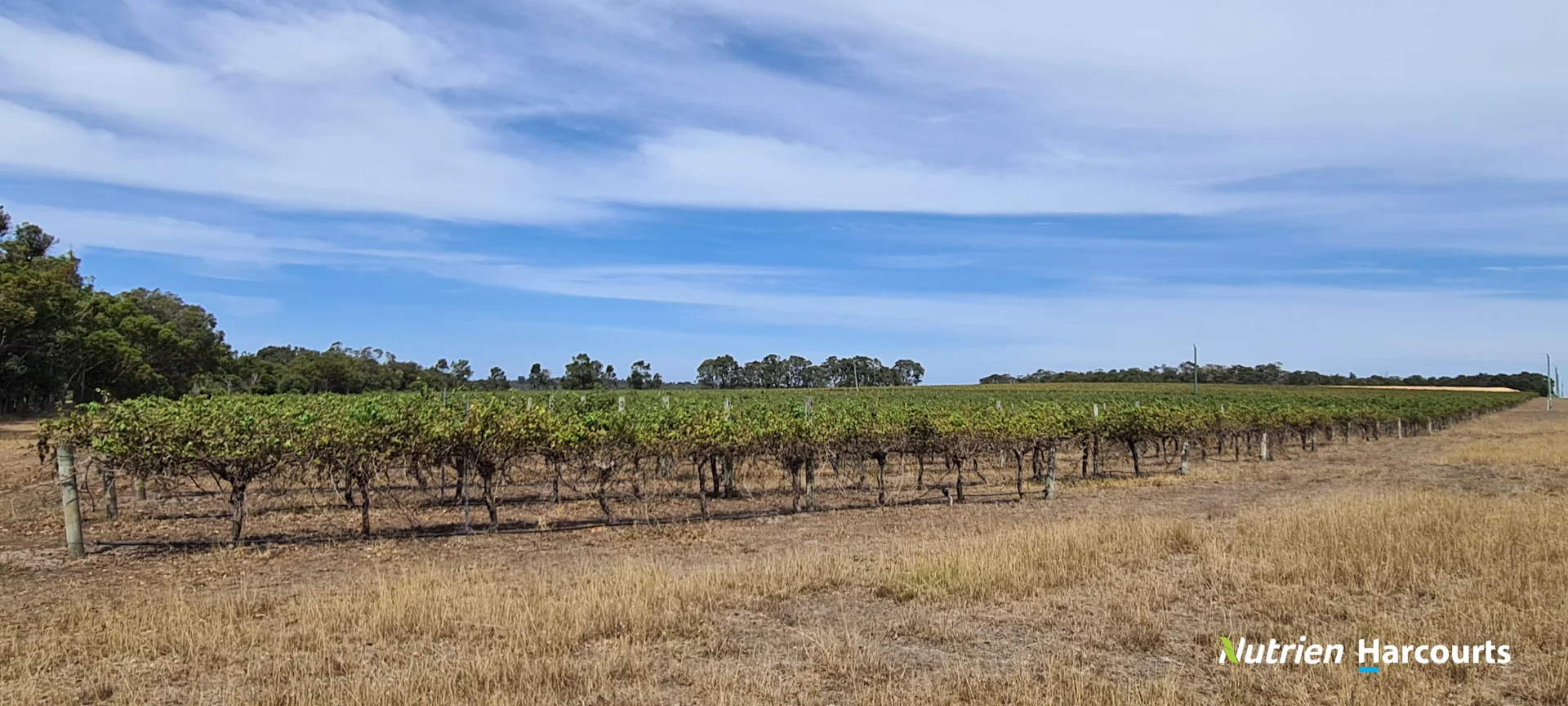 267 Spencer Road - Image 4