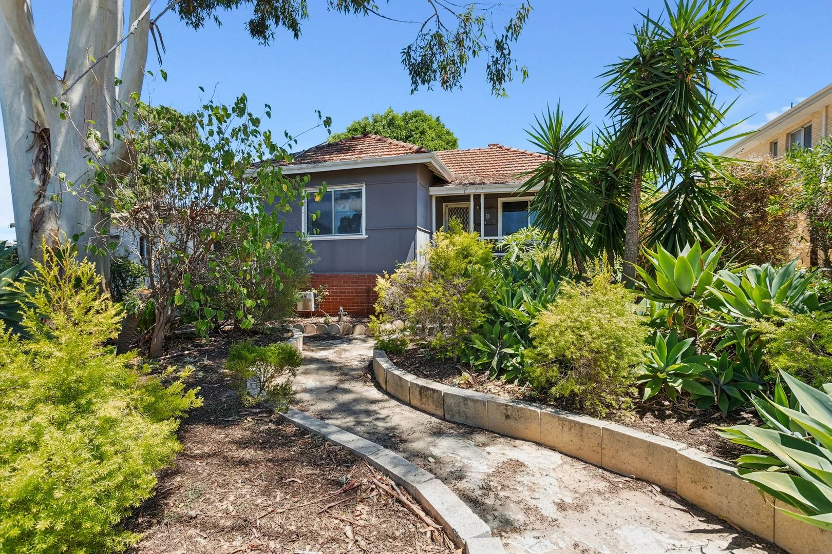 28 Dorothy Street (1/29)