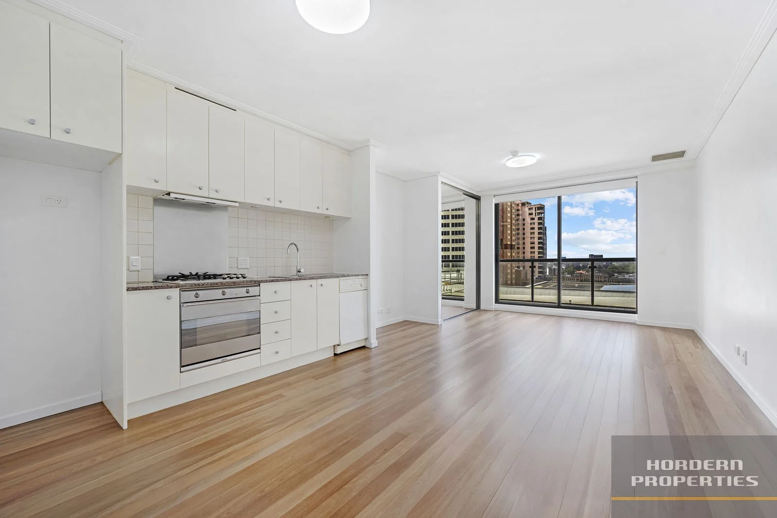 2801/393 Pitt Street (1/17)