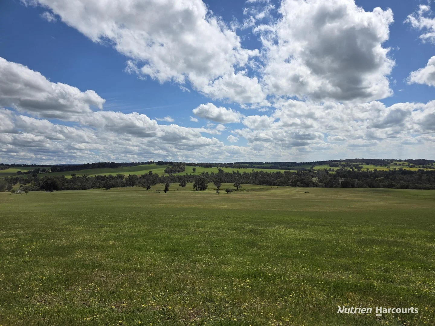 288 & Lot 3394 Glenorchy Road South (1/3)