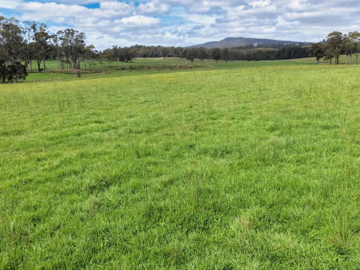 29 Glengarry Road - Image 4