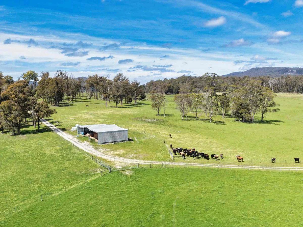 29 Glengarry Road - Image 3