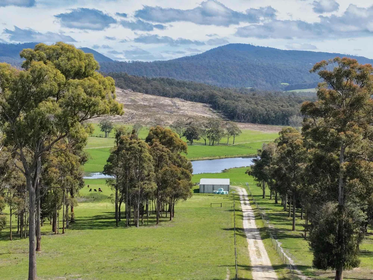 29 Glengarry Road - Image 2