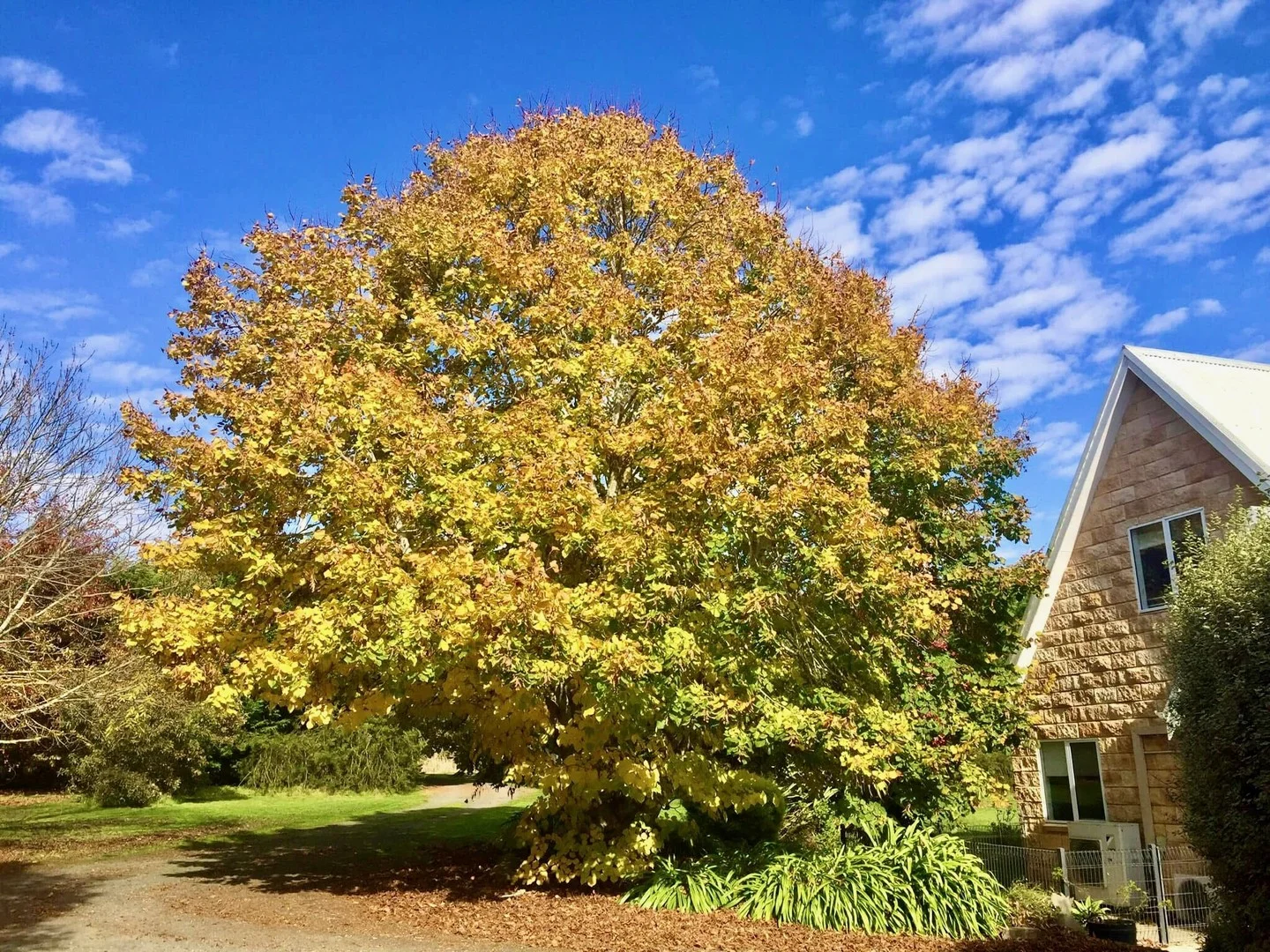 299 Stag Road (1/33)