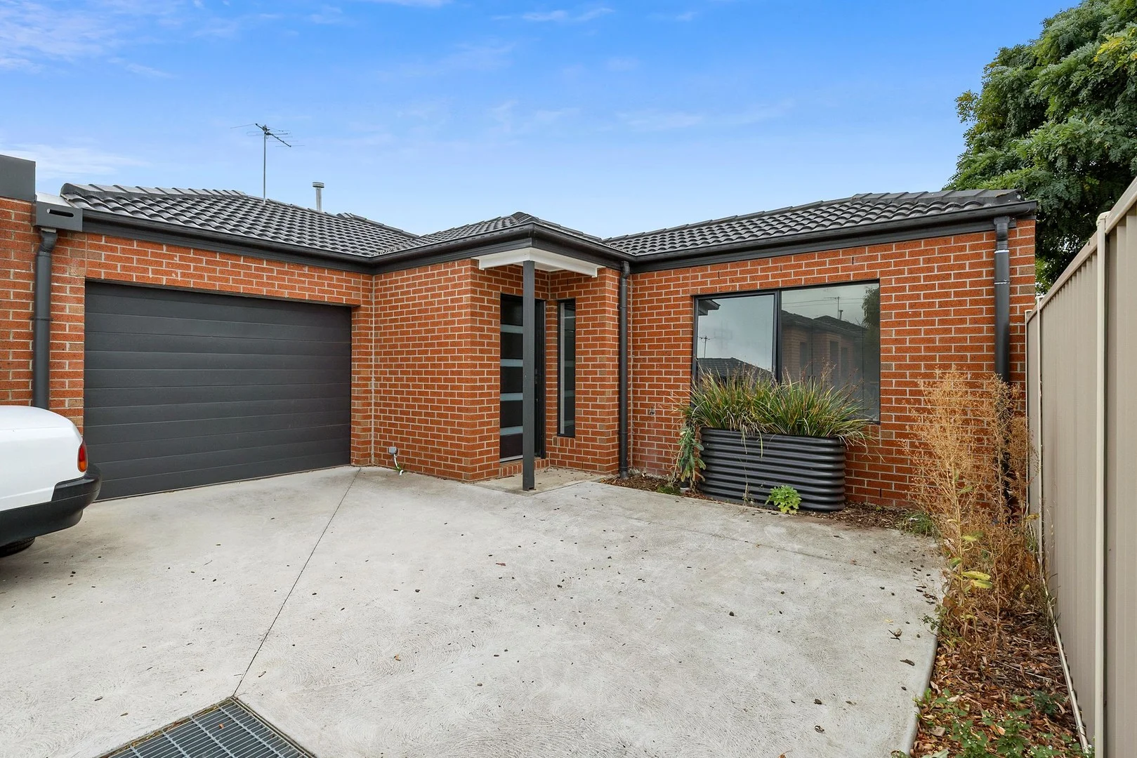 3/149 Morgan Street (1/12)
