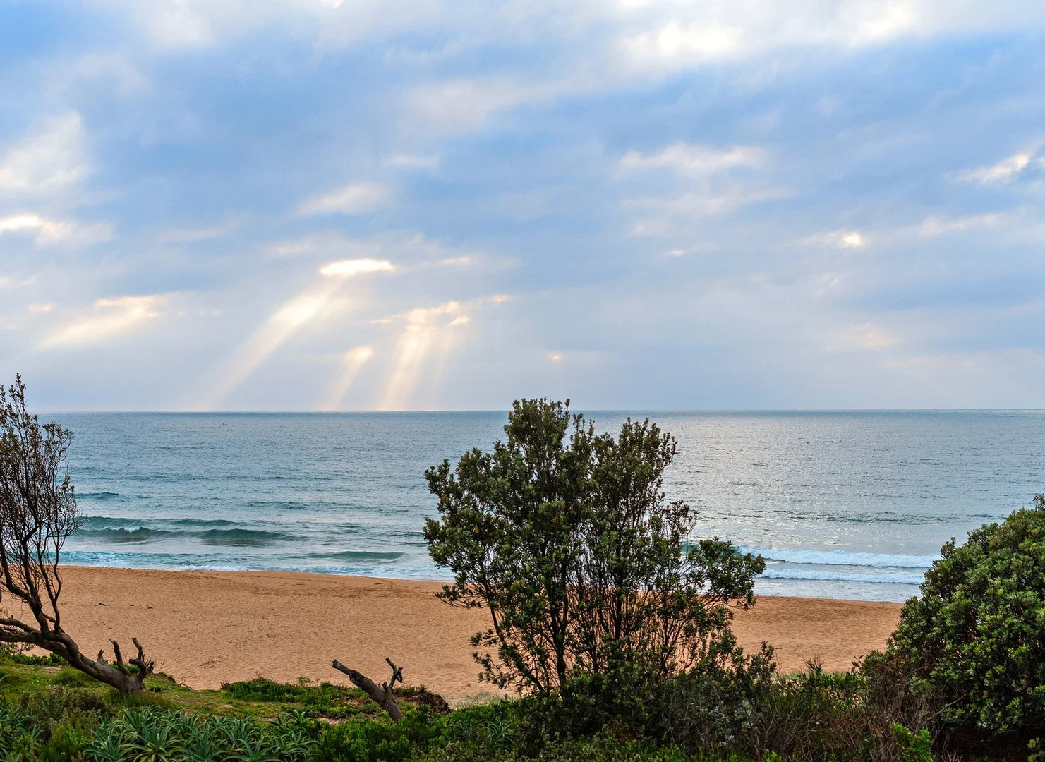 3/169 Ocean Street (1/17)