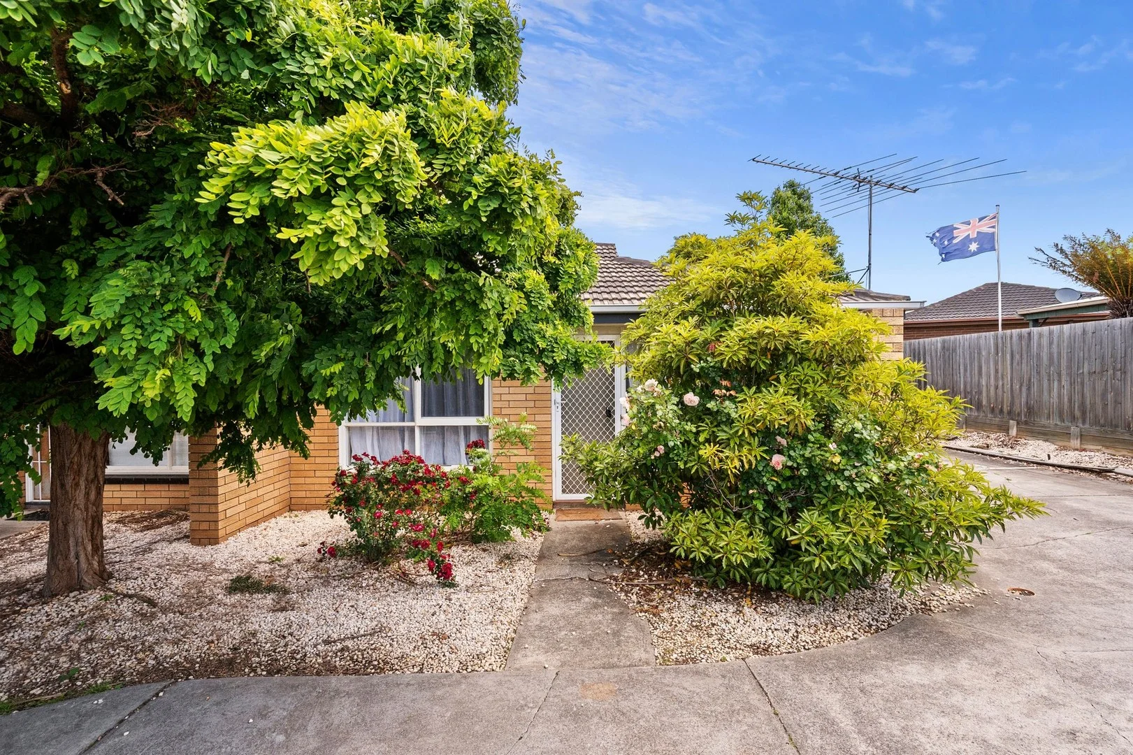 3/229 Torquay Road (1/12)