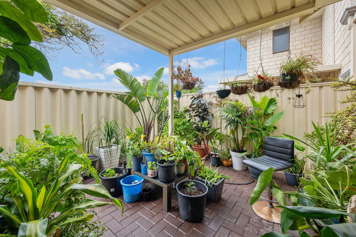 3/33 Beverley Road (1/23)