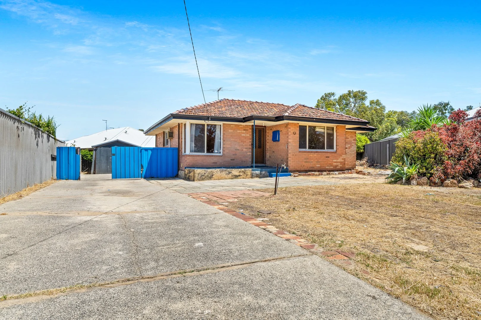 3 Olney Court (1/13)