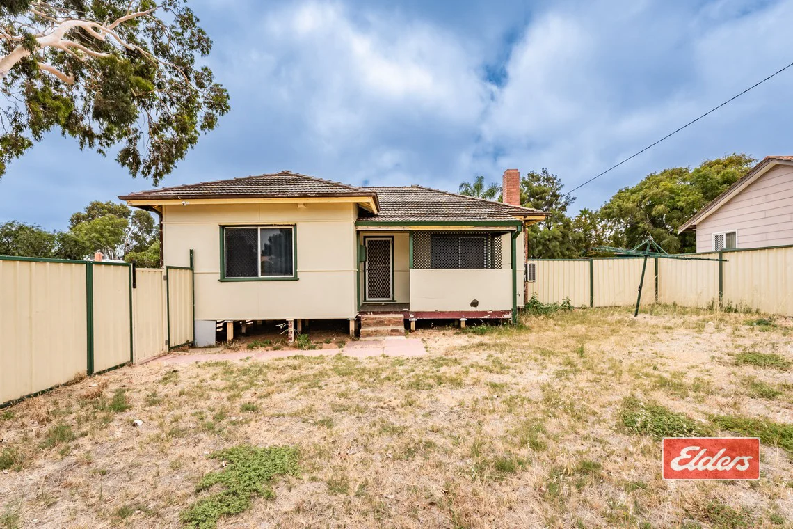 3 Zamia Street (1/11)