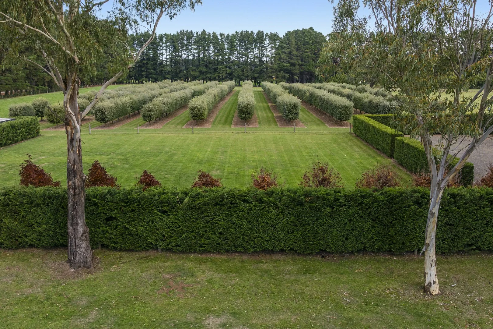 30 Pearsons Road (1/3)