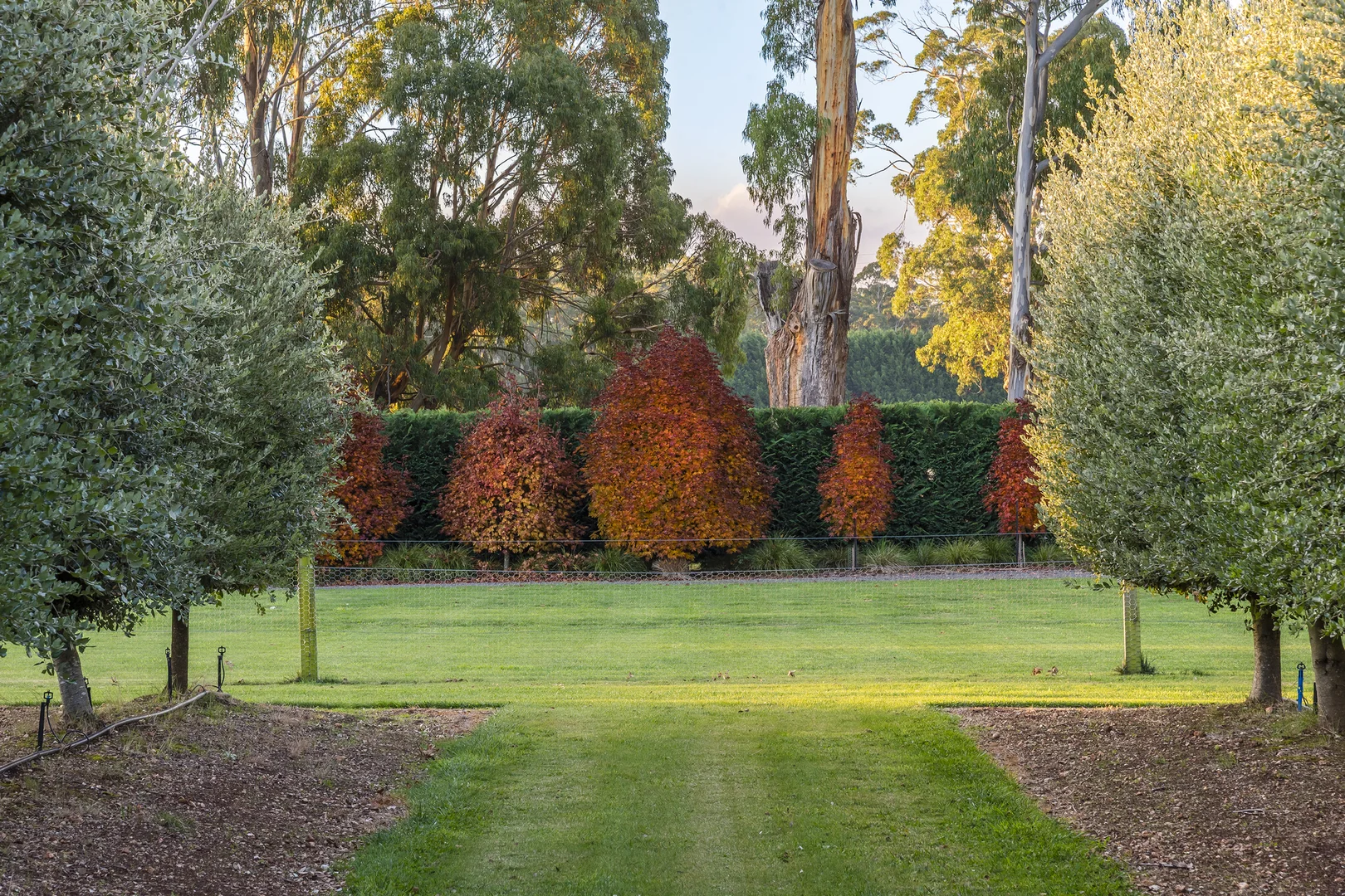 30 Pearsons Road - Image 3