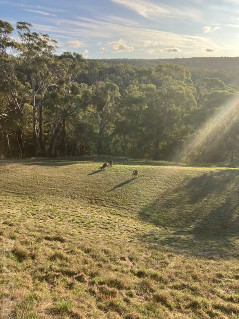 30 Table Hill Road - Image 5