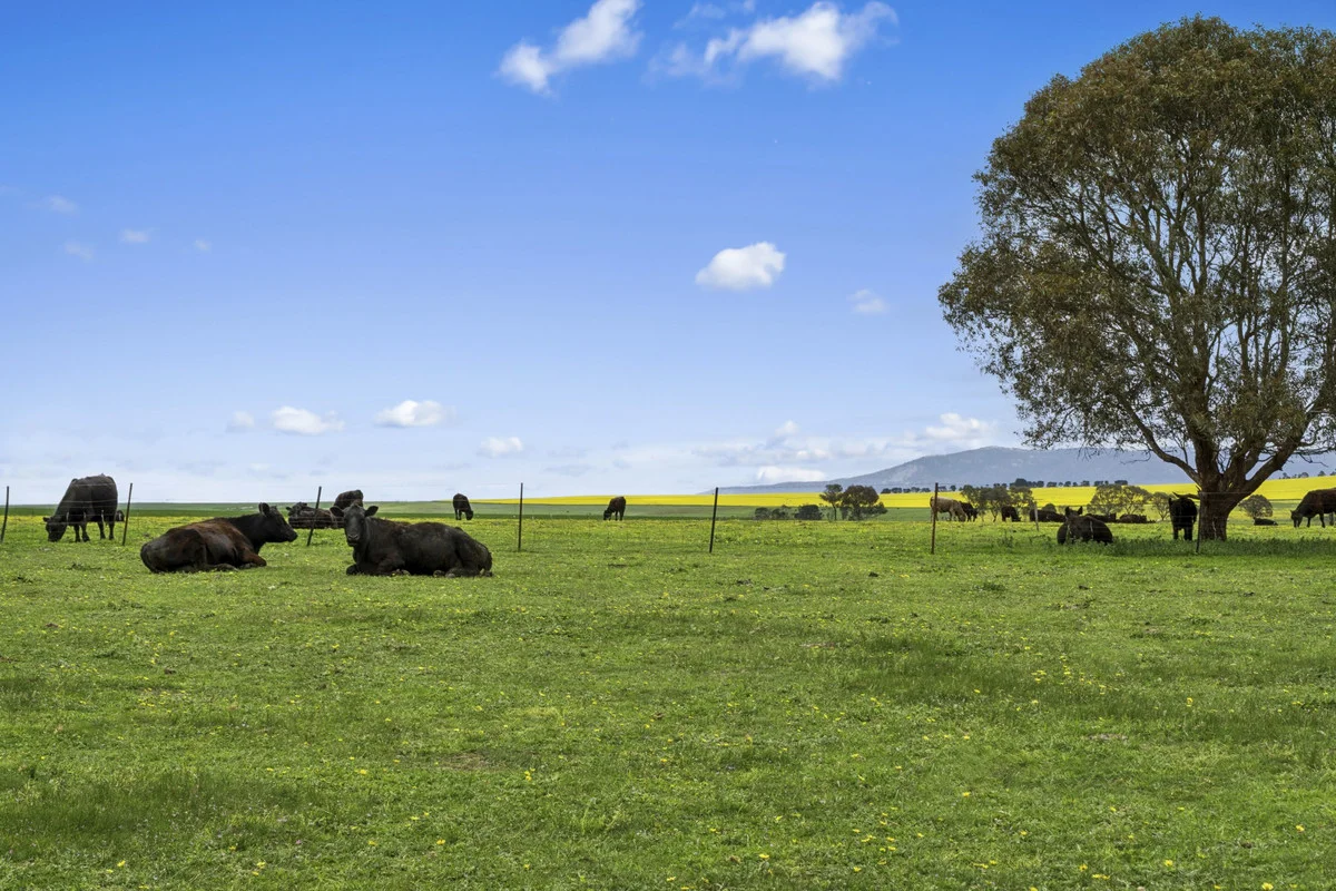3077 Geelong Road - Image 2