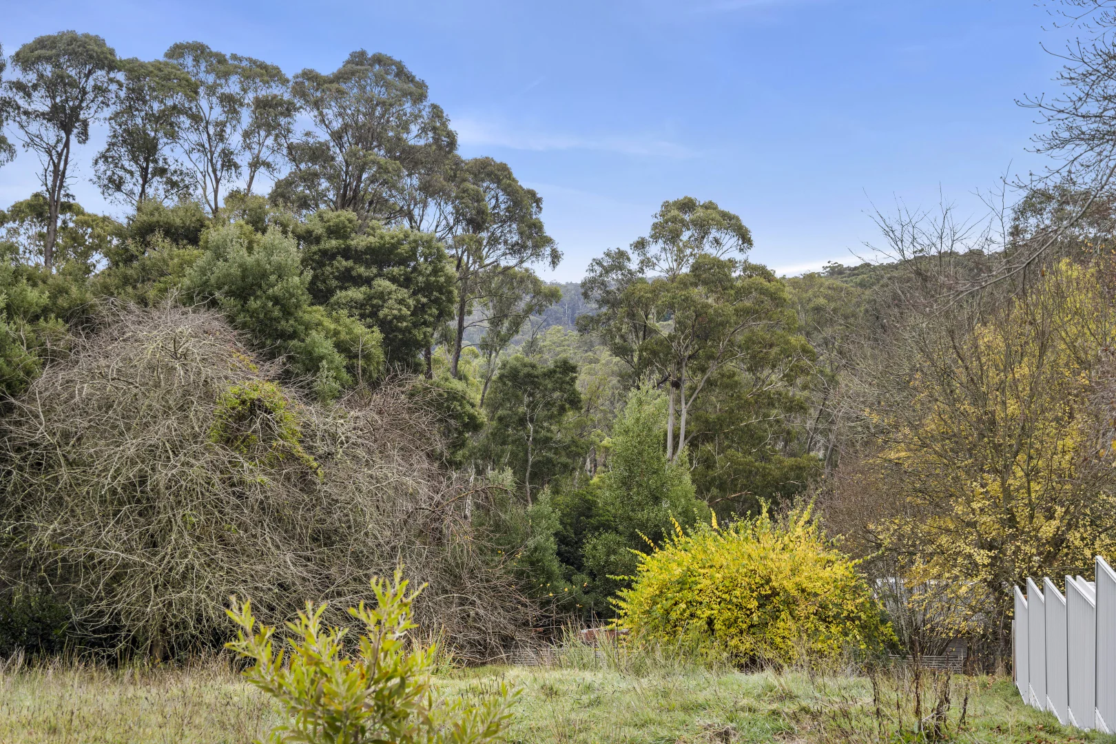 31 Golden Point Road - Image 4