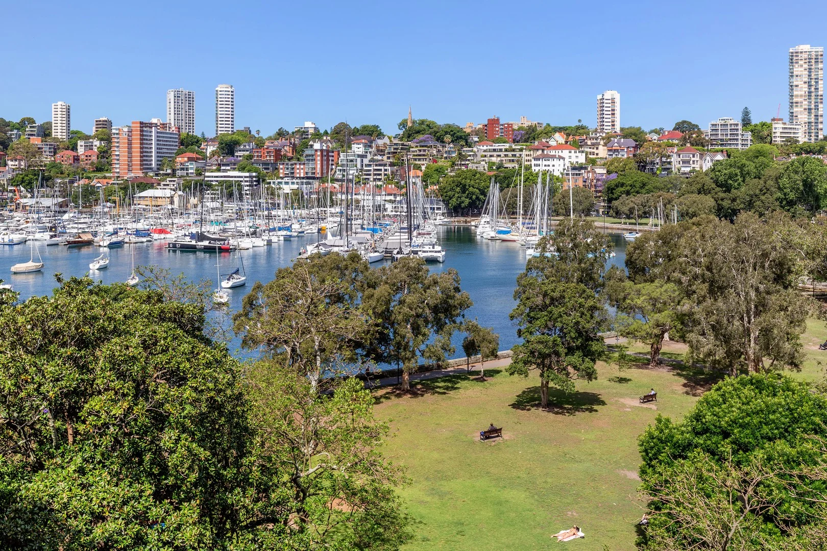 32/1 Holdsworth Avenue (1/17)