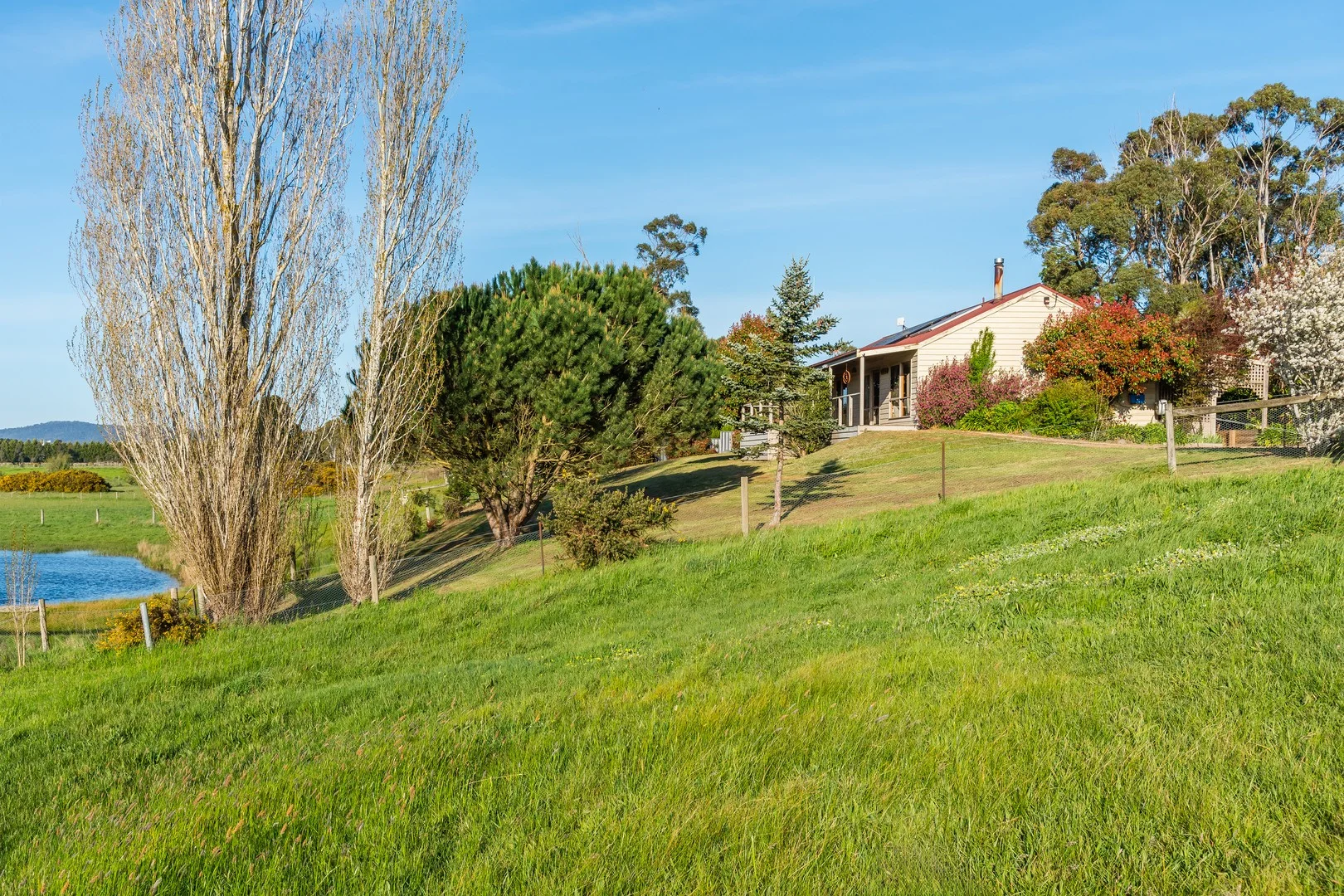 32 Ebden Street (1/23)