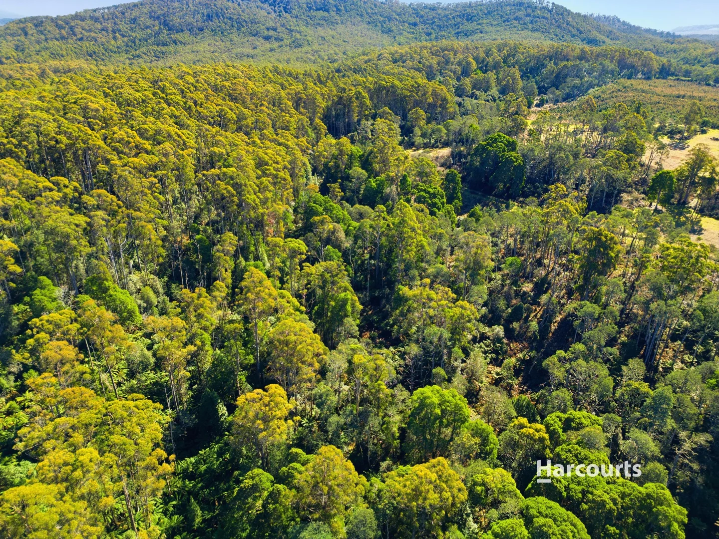 328 Loongana Road - Image 4