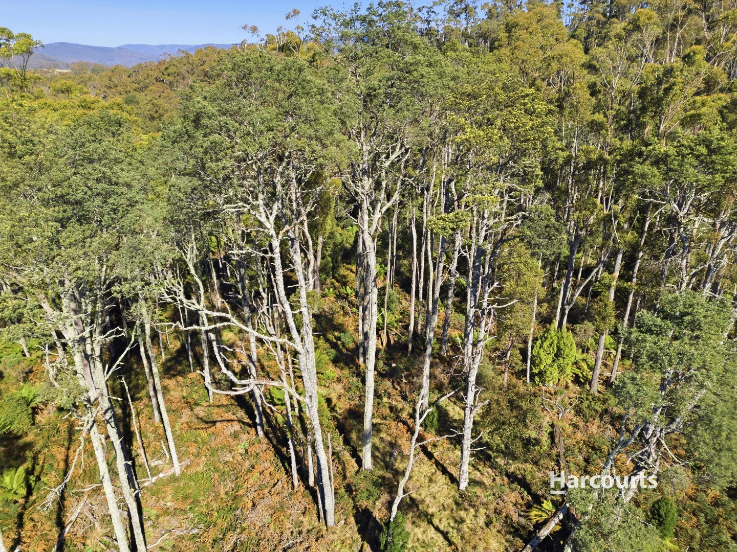 328 Loongana Road - Image 5