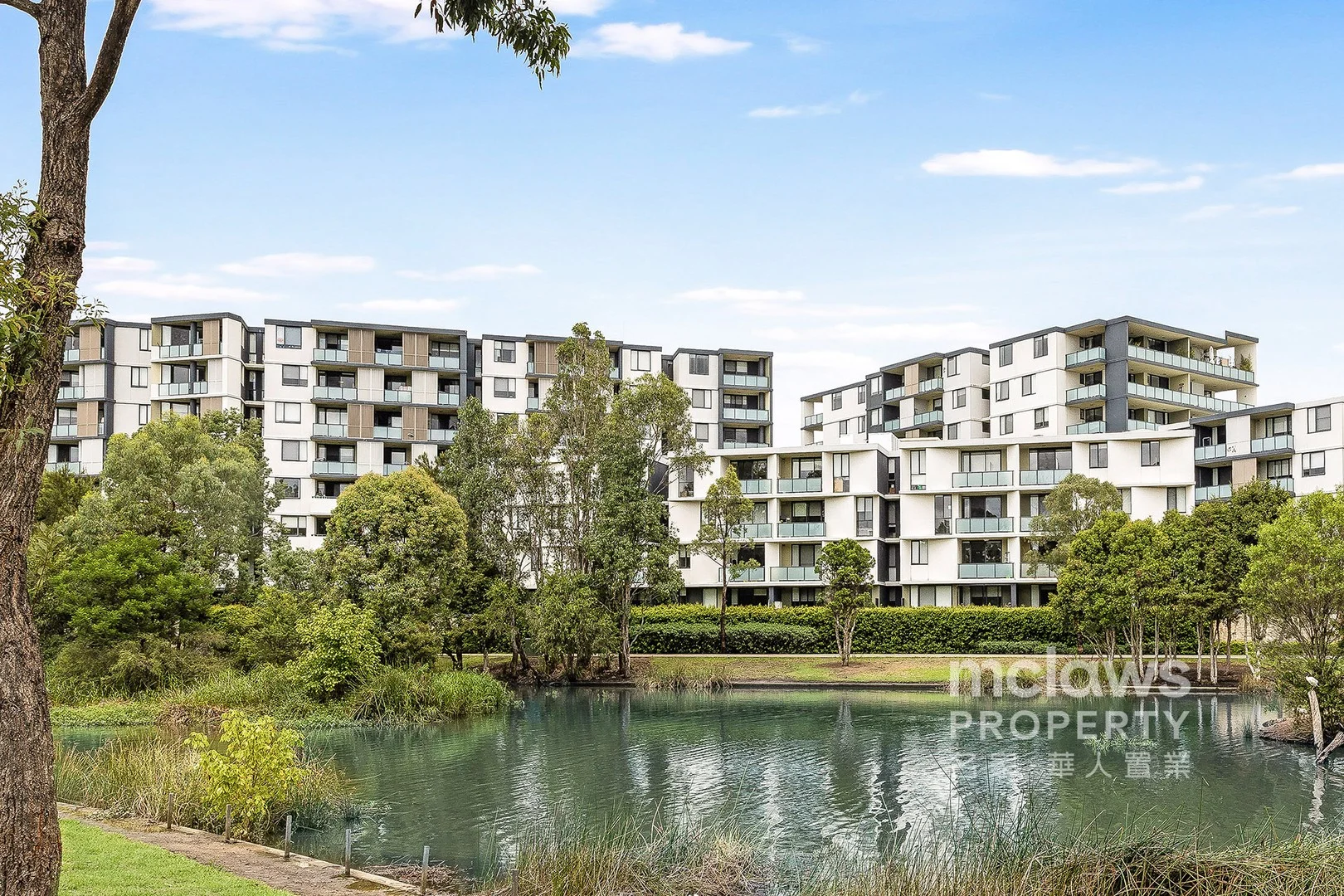 334/5 Vermont Crescent (1/9)