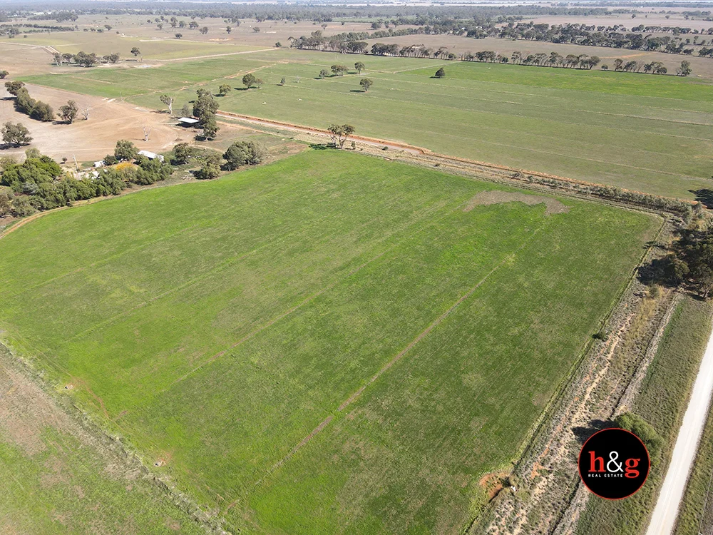 335 Rohan Road - Image 3