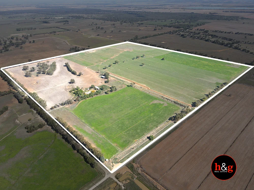 335 Rohan Road (1/3)