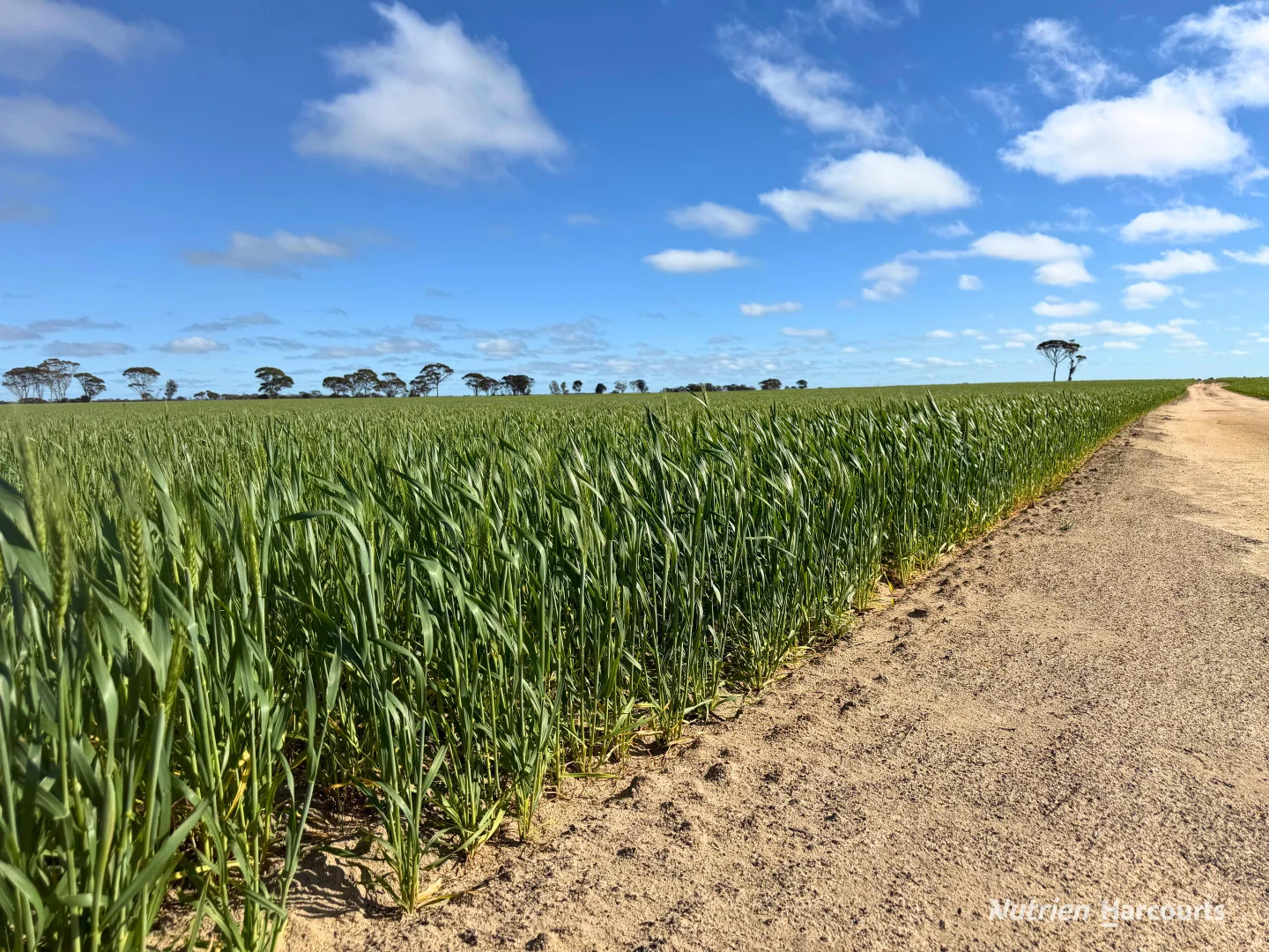 3422 Mount Walker Road - Image 3