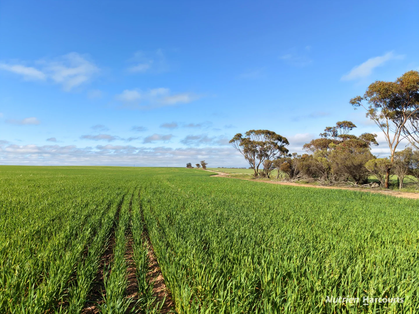 3422 Mount Walker Road - Image 5