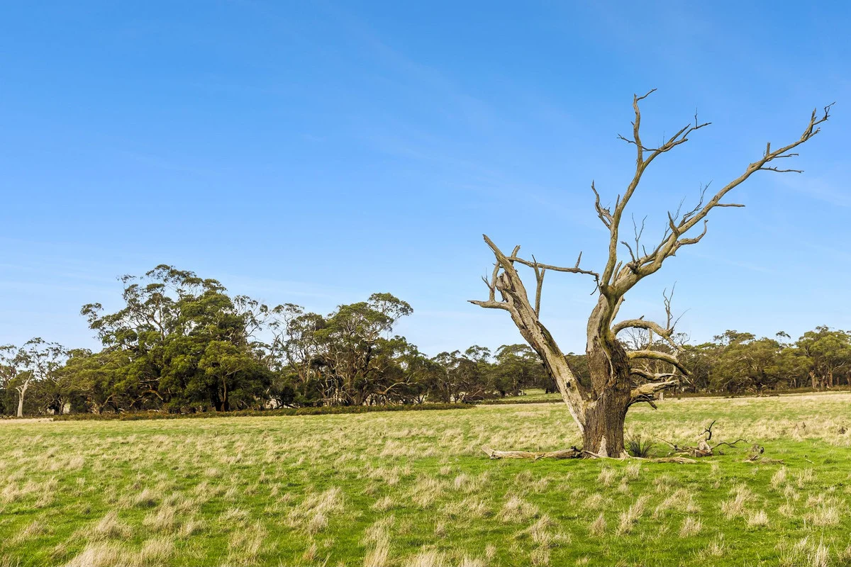 346 Coopers Road - Image 4