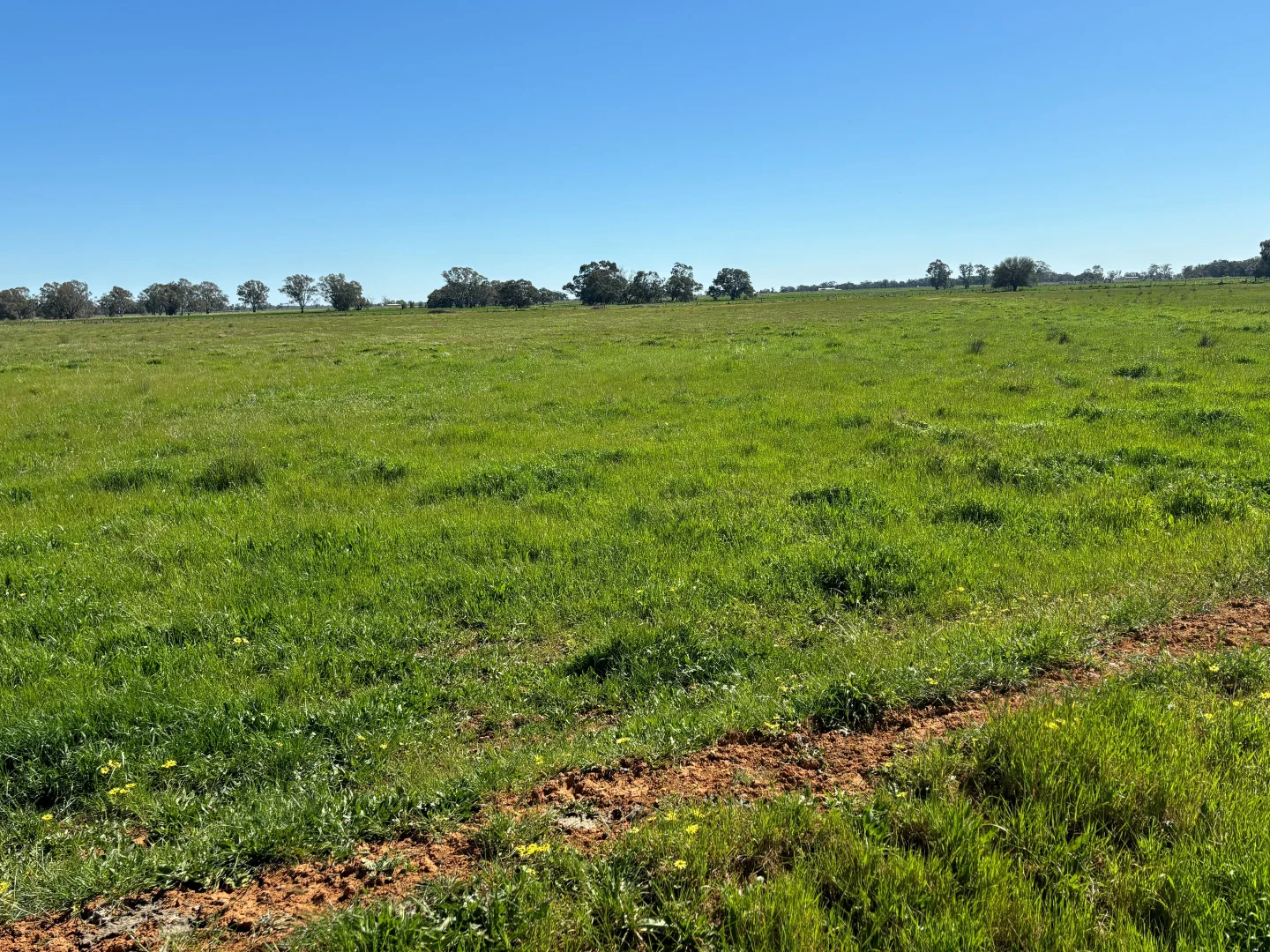 3480 Graham Road - Image 3