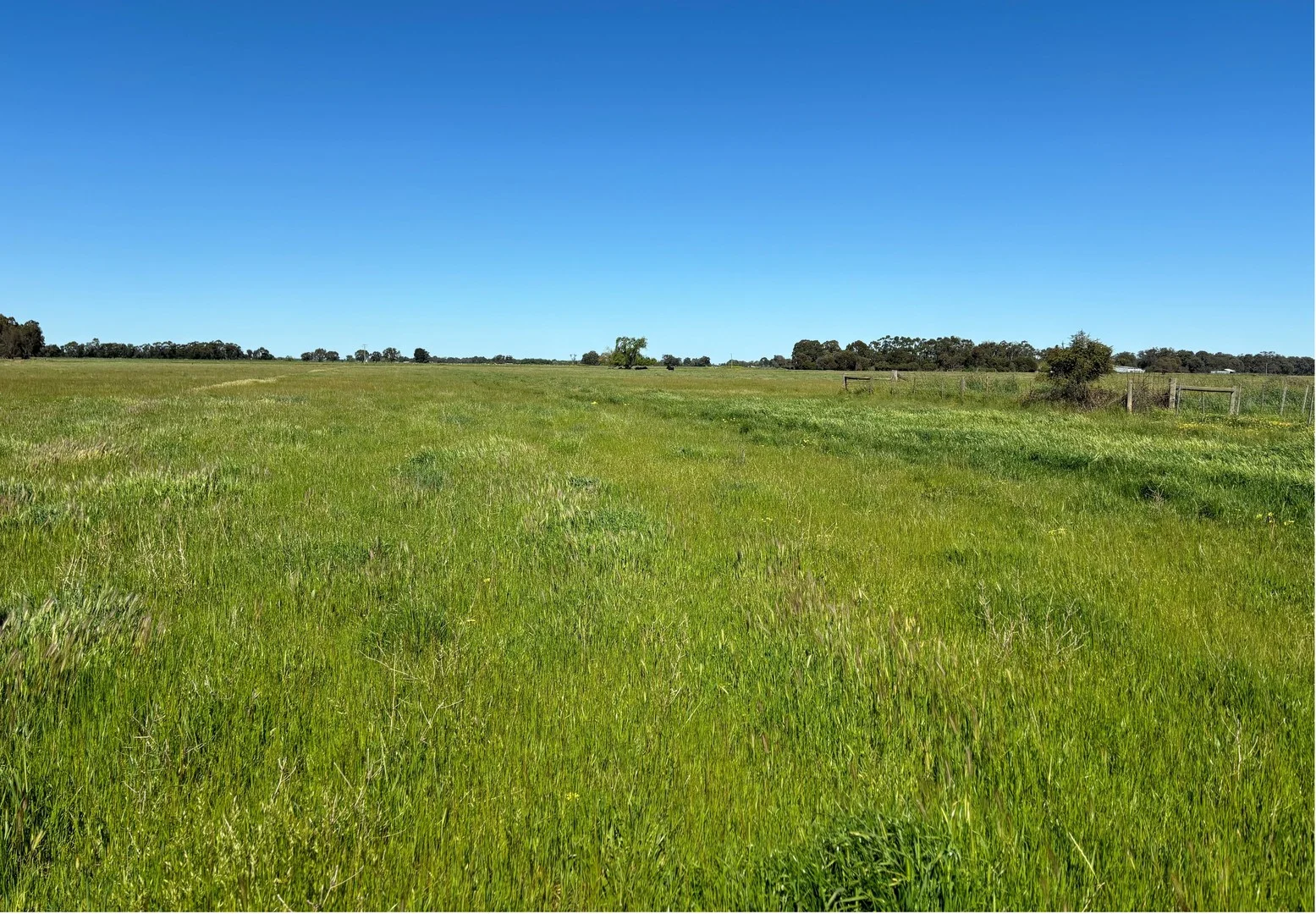 3480 Graham Road (1/3)