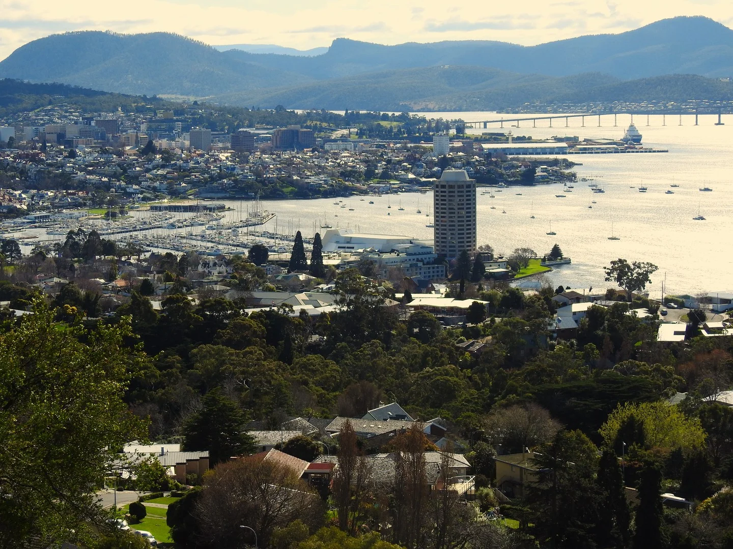 35 Edith Avenue (1/7)