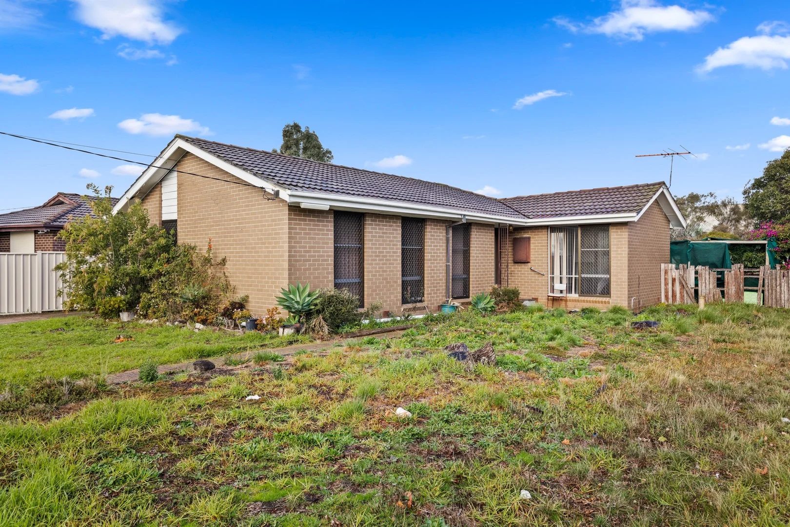 35 Felstead Avenue (1/1)