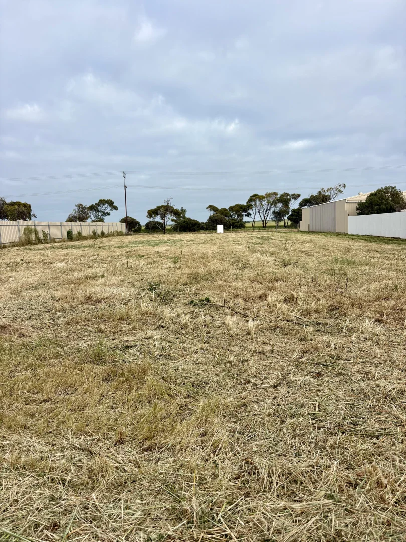 36 Matta Terrace - Image 4