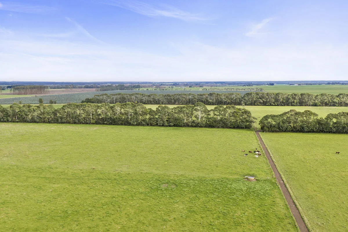 360 Irrewillipe-Pirron Yallock Road - Image 4