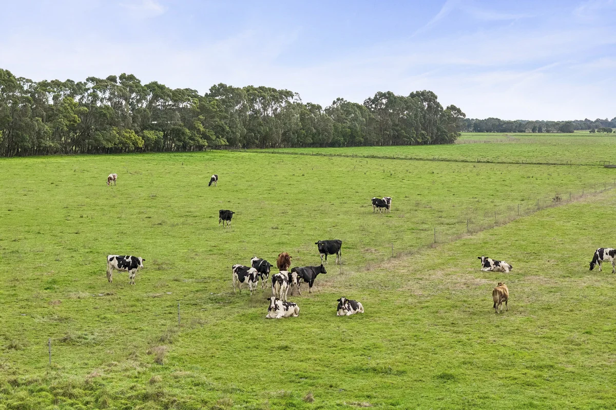360 Irrewillipe-Pirron Yallock Road - Image 3