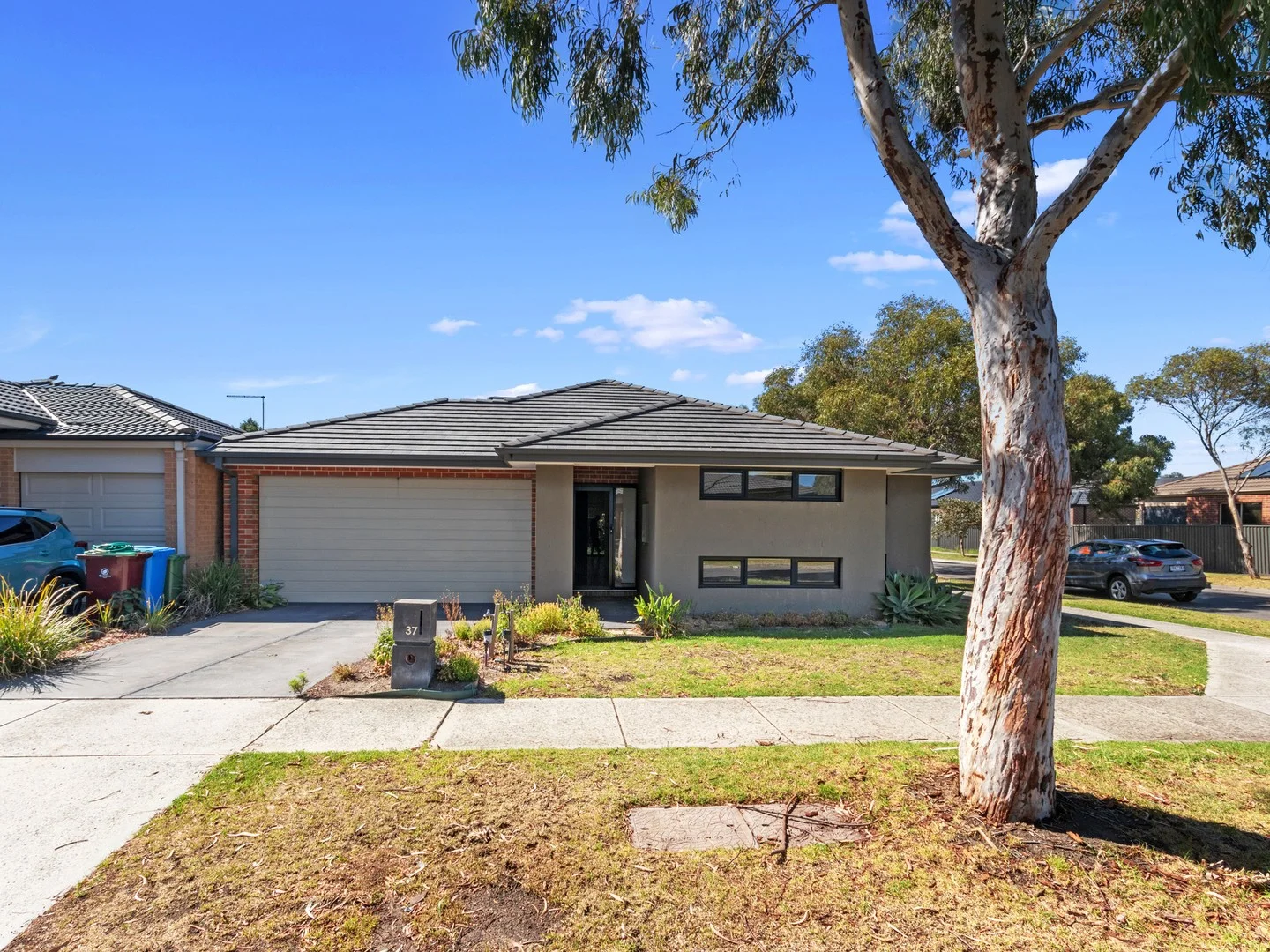 37 Artfield Street (1/11)