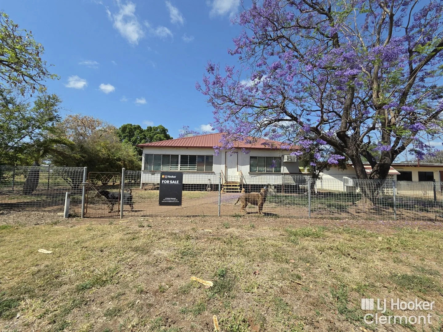 37 Haig Street (1/1)