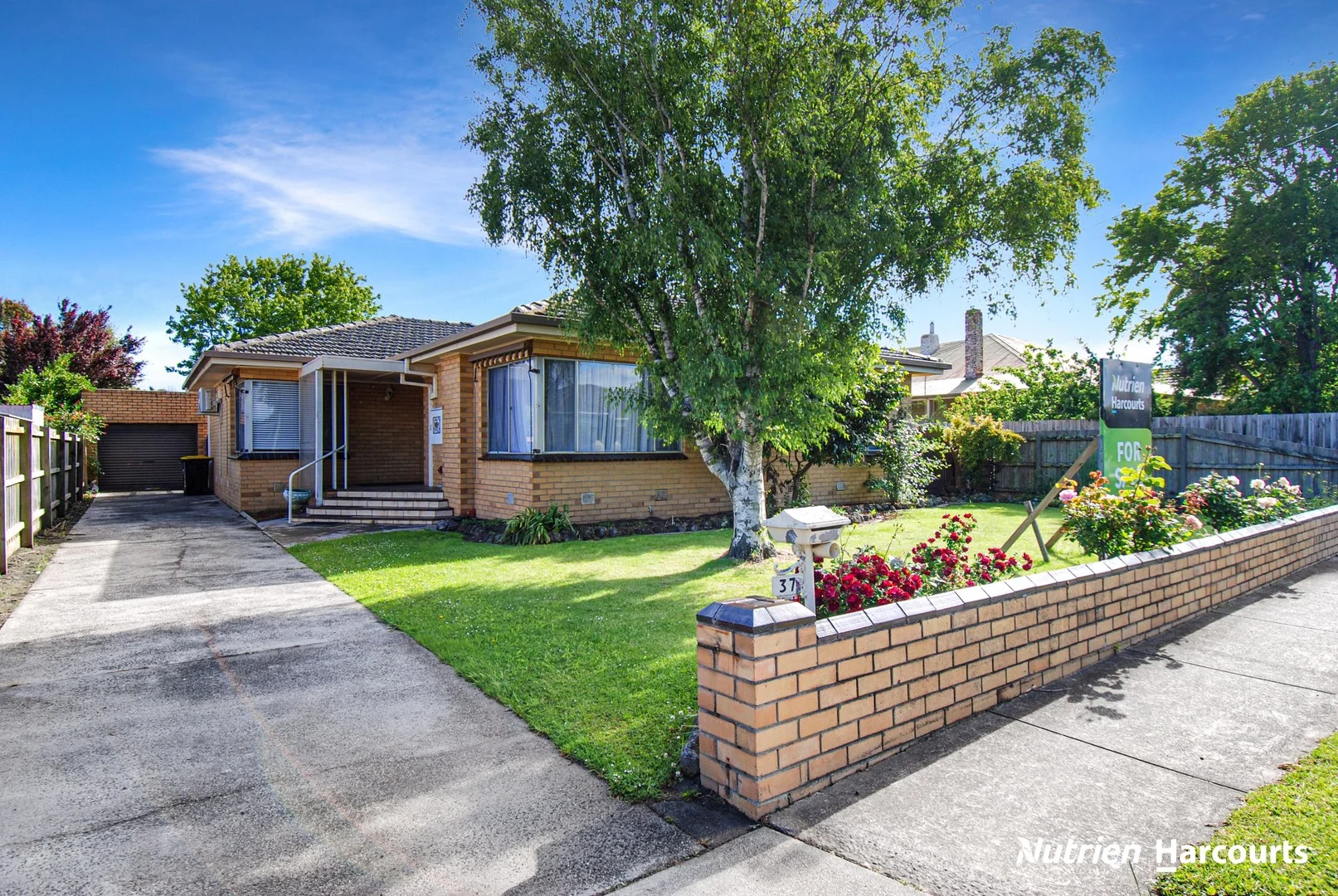 37 Yarram Street (1/1)