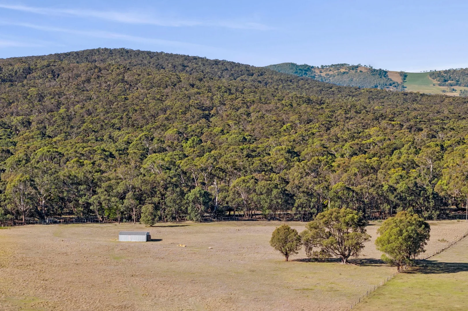 381 Burke and Wills Track - Image 5