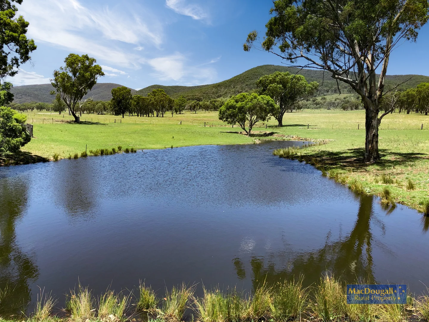 384 Dry Creek Road - Image 4