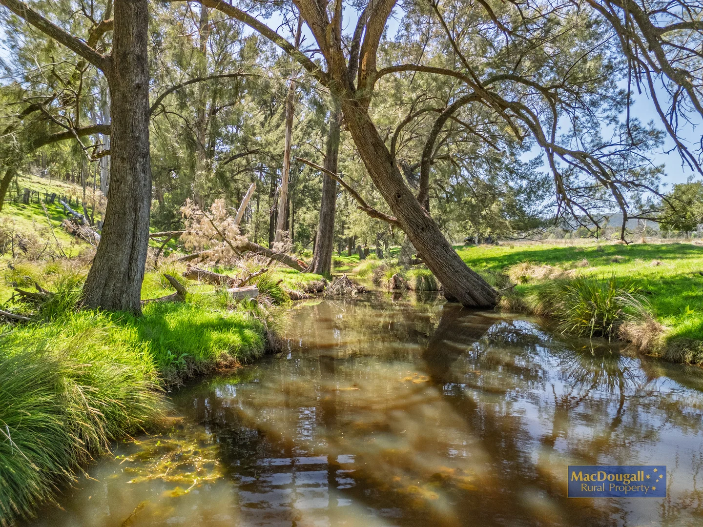 384 Dry Creek Road - Image 5